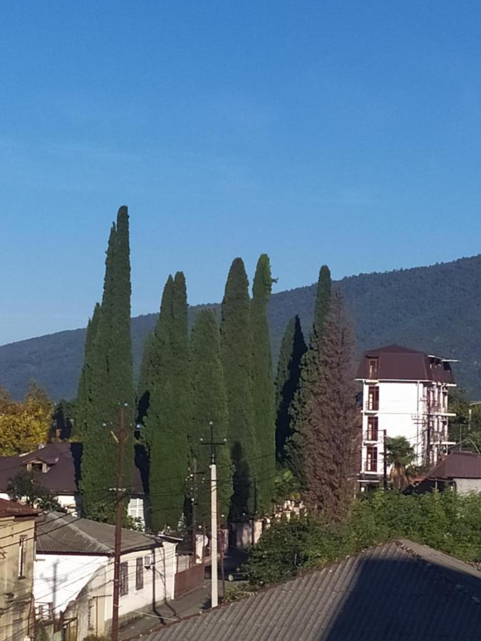 Anna-Saria Guest House Gagra Bagian luar foto