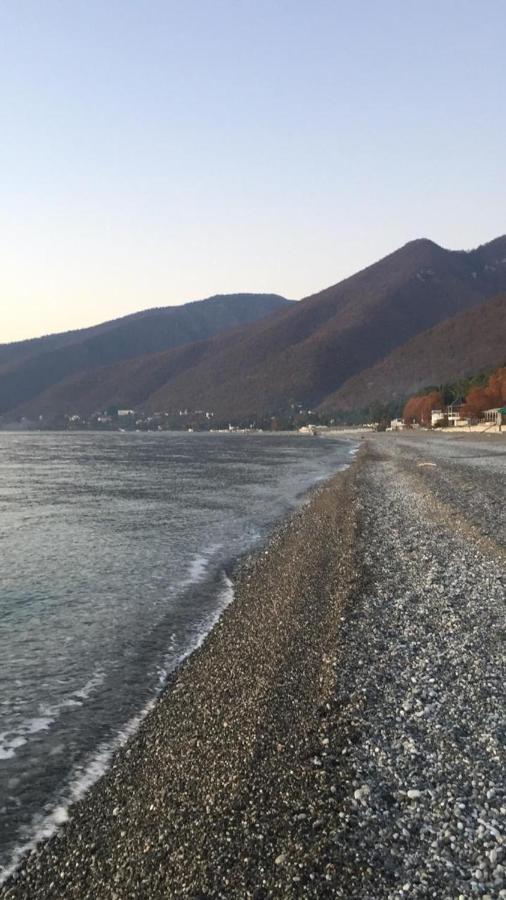 Anna-Saria Guest House Gagra Bagian luar foto