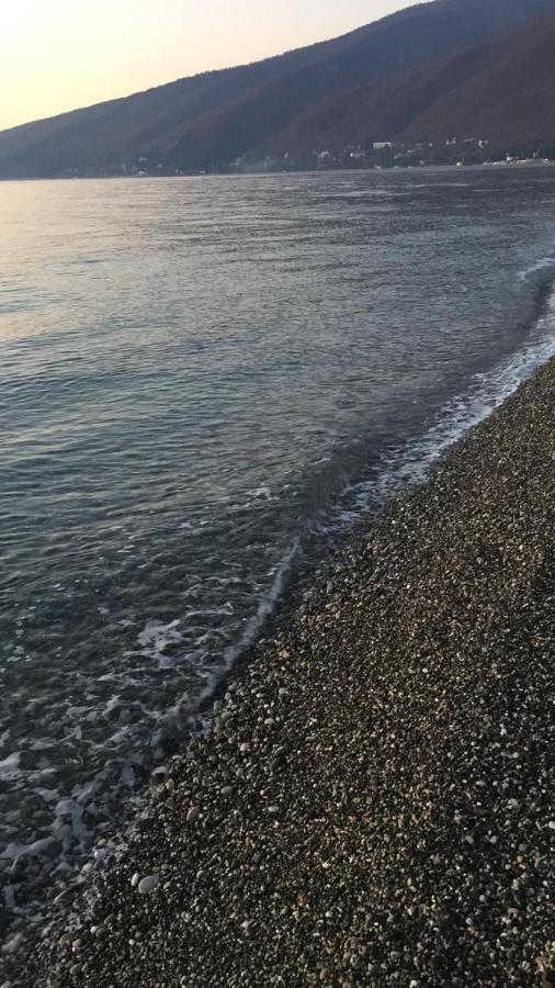Anna-Saria Guest House Gagra Bagian luar foto