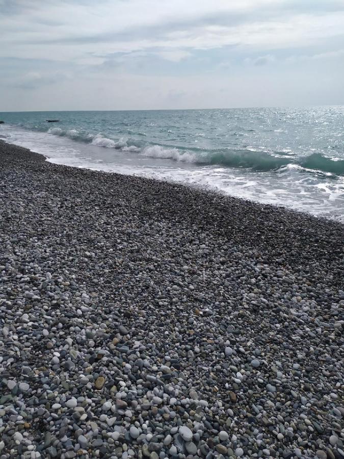 Anna-Saria Guest House Gagra Bagian luar foto